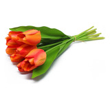 Buquê De Tulipas Branco Real Ao Toque Com 10 Unidades