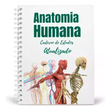 Caderno De Estudos Anatomia Humana Compilado Para Preencher