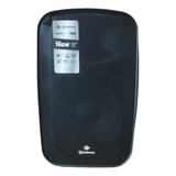 Caixa Amplificada Ativa De 15 Waldman Pty 700 110/220v Cor Preto 110v/220v