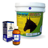 Calgold Potenciado Ade B12 Equino Cavalo Phoscav 5kg Mineral