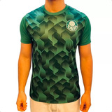 Camisa Palmeiras Masculina Verde 2023/2024-comemorativa