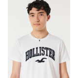 Camiseta Hollister Manga Curta Super Promoção Vários Modelos