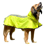 Capa De Chuva Pet Cao Emborrachada Golden Porte Grande X X G