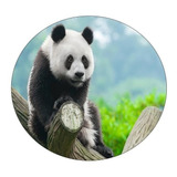 Capa De Estepe Ecosport Aircross Crossfox Panda