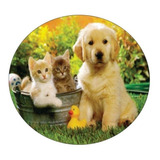 Capa De Estepe Ecosport Crossfox Spin Gatinhos E Cachorro