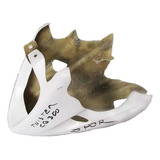 Carenagem Spoler Motor Esportivo Honda Twister Sport Cb 300