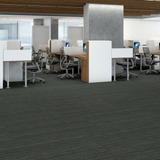 Carpete Em Placa Shaw Mainstreet Intellect Sharp 7,43 M²