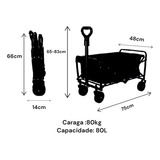 Carrinho Dobrável Aço De Vagão Compra Feira Até 80kg Mdc-029 Cor Preto