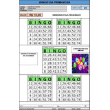 Cartelas De Bingo - Gerador E Gerenciador De Rodadas Bingo