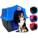 Casa Casinha Plástica Cachorro Número N 5 + Colchao Grande Cor Azul