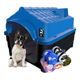 Casa Casinha Plástica Para Cães N03 Azul C/1 Manta De Brinde