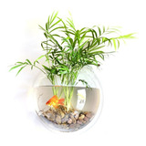 Casa Decoração Parede Monte Peixe Tanques Peixe-dourado Tige