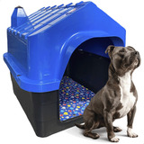 Casinha Plástica Cachorro Cães Colchão Número 5 Cor Azul