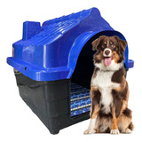 Casinha Plastica Cachorro Numero 5 Cor Azul