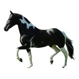 Cavalo Manga Larga Pampa Preto. Homozigoto