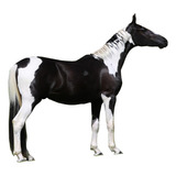 Cavalo Potro Mangalarga Homozigoto 