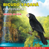 Cd Canto Pássaros Bicudo Yaçanã Canto Flauta Mestre Ao Vivo