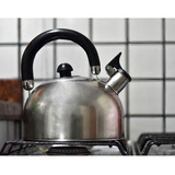 Chaleira Inox 2 L Com Apito Alça Móvel Basic Água Quente Cor Prateado