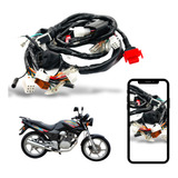Chicote Fiação Principal Cbx 200 Strada 1994 Até 2002