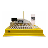 Chocadeira Hobby 70 Ovos Com Controle Digital De Temperatura 220v