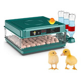 Chocadeira Incubadora 72 Ovos 220v Automática + Ovoscópio 