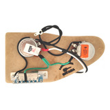 Circuito Elétrica Super Strato Ibanez E Outras Hsh Hh Gio Rg