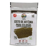 Cisto De Artêmia Para Eclosão Alimento Peixes 14g Yepist