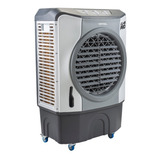 Climatizador Portátil Frio Ventisol Cli 45 Pro Branco/cinza 127v