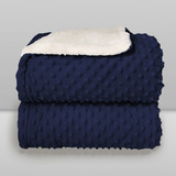 Cobertor Bebê Plush Com Sherpa Dots 0,90 X 1,10 Azul Navy