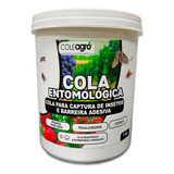 Cola Entomológica Insetos Incolor Atóxico Colly 1kg