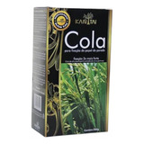 Cola Para Papel De Parede Kantai - Instantânea - Arroz 180g