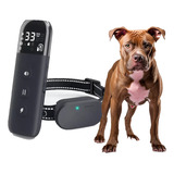 Colar Adestrador Impermeável Com Controle Remoto