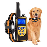 Colar Adestrador Impermeável Controle Remoto 4modos Original