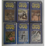 Coleção Planeta Vivo - Vhs Dvd - 