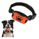 Coleira Antilatido Educativa Sem Choque - Sweet Dog