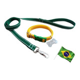 Coleira Brasil Verde Amarela+guia+placa Dogtag Gravada