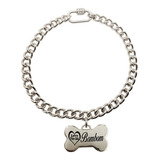 Coleira Corrente Porte Nome Telefone Placa Osso Pit Bull Pet