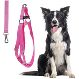 Coleira Para Border Collie Bull Terrier Com Guia E Peitoral 