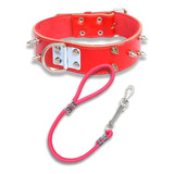 Coleira Para Pit Bull Couro Com Spike Coleira Spike + Guia Cor Vermelho