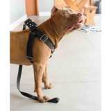 Coleira Peitoral Cachorro Guia Adaptador Doberman Pit Bull Cor Preto