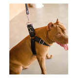 Coleira Peitoral Cachorro Guia Adaptador Doberman Pit Bull M
