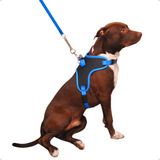 Coleira + Peitoral Guia Cachorro Pet Grande Porte Golden Cor Azul Cor