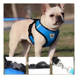 Coleira Peitoral Para Cachorro Pet Colete Refletivo Guia Cor Azul Lisa Tamanho Da Coleira M