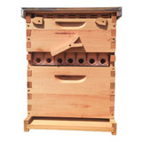 Colmeia Automática Abelha 7 Autoframes Alta Produção Premium