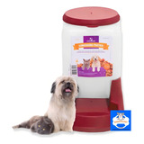 Comedouro Automatico Cães Cachorros Gatos Pratico 3litros Cor Vermelho