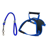 Conjunto Guia E Peitoral Adestramento Cachorro Grande Porte Cor Azul Tamanho G