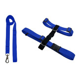 Conjunto Guia E Peitoral H Cão Porte Adestramento Passear Cor Azul Tamanho Da Coleira P