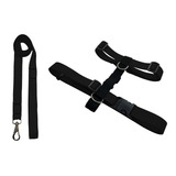 Conjunto Guia E Peitoral H Cão Porte Adestramento Passear Cor Preto Tamanho Da Coleira G