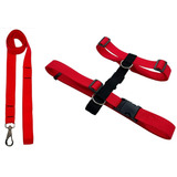 Conjunto Guia E Peitoral H Cão Porte Adestramento Passear Cor Vermelho Tamanho Da Coleira M