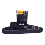 Correia 6pk 1245 - Original - 6pk1245 / 6 Pk 1245